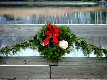 Holiday wreath with seashells