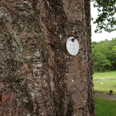 tree tag pic
