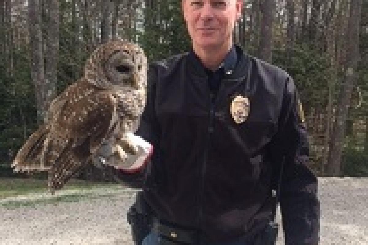 Deputy Chief Kurt Moses saves Owl 2014