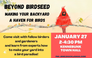 beyond birdseed