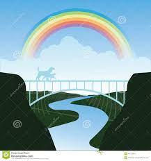 Animal Rainbow Bridge