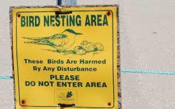 Bird Nesting Area Sign